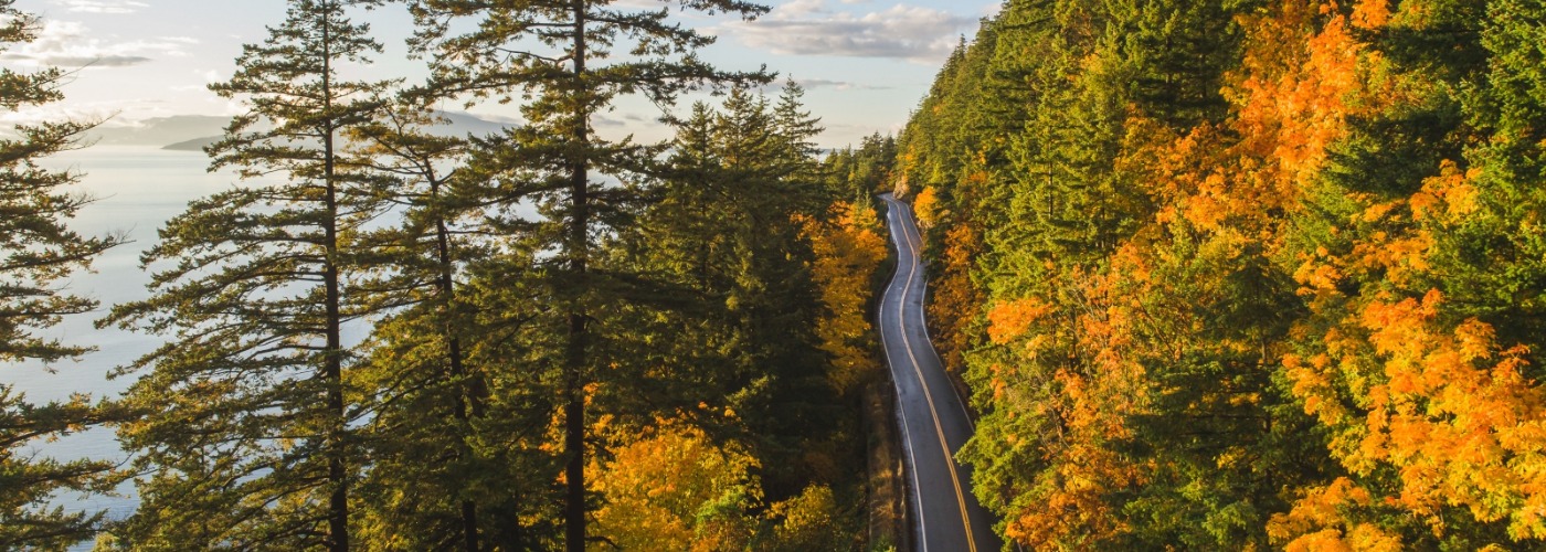 Chuckanut Drive