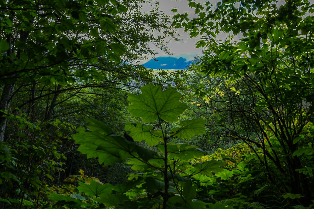 Hike to Bridal Veil Falls