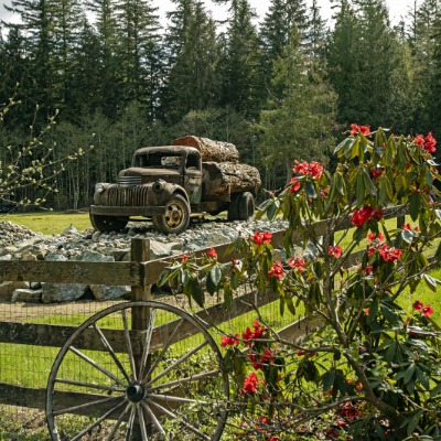 Arlington Logging History