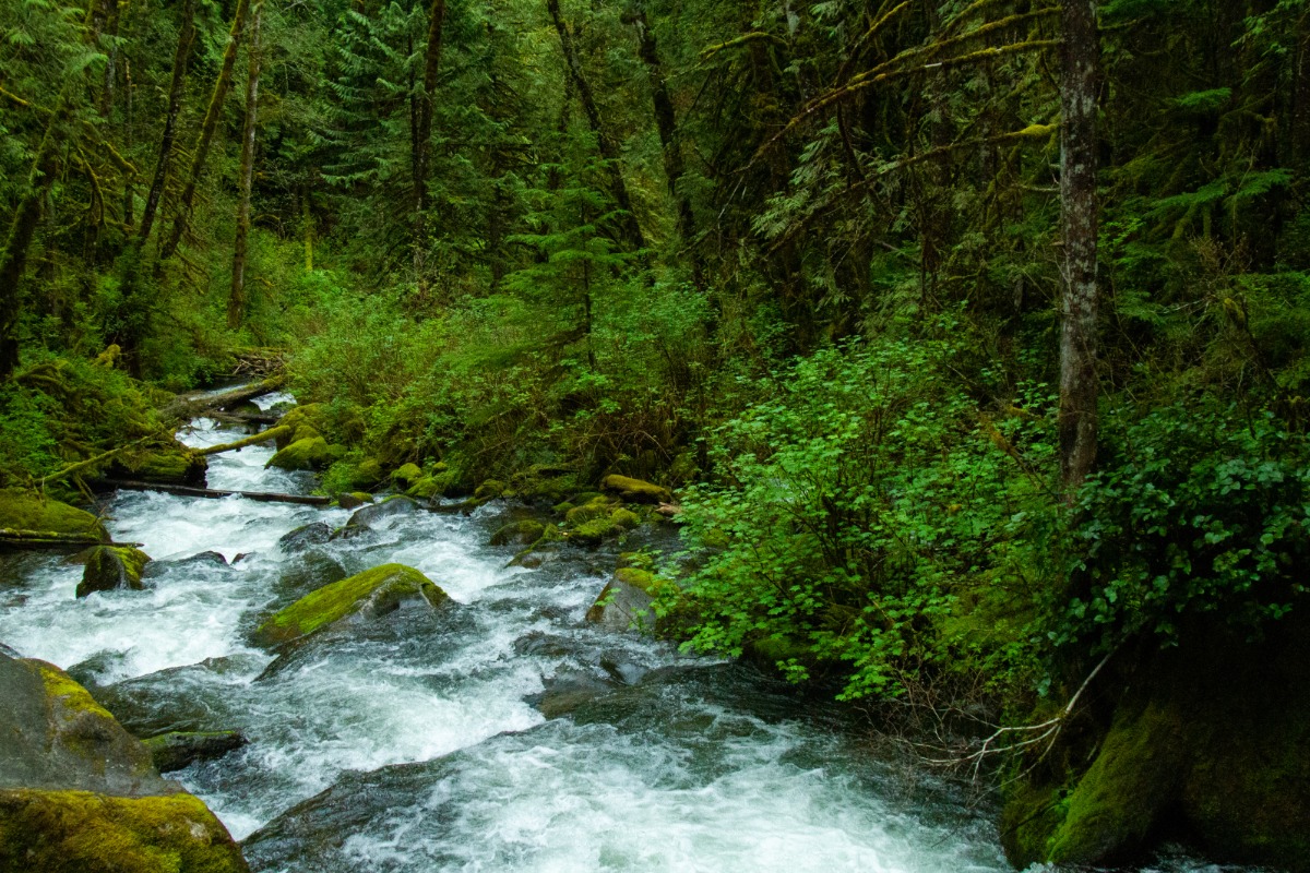 Wallace Falls Spring 2023