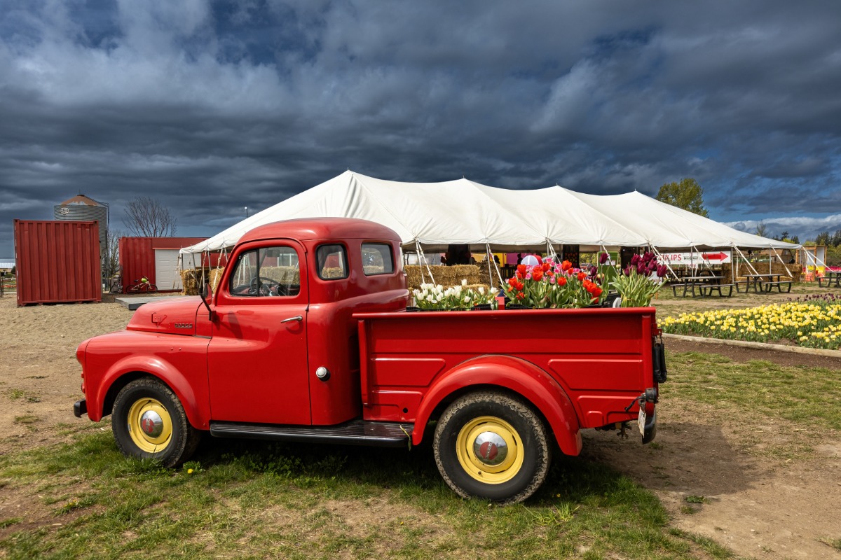Tulip Valley Farm Truck