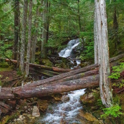 Ross Lake Trail