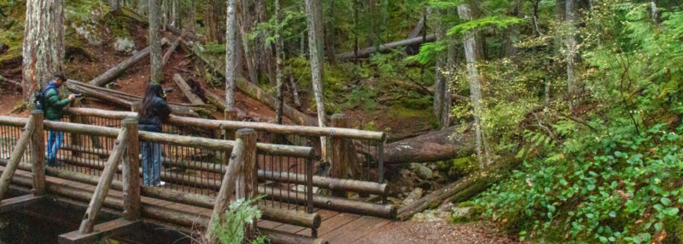 Ross Lake Trail