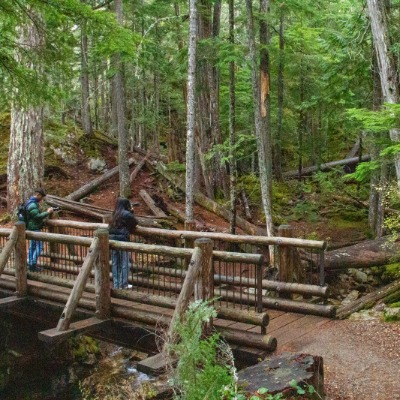 Ross Lake Trail
