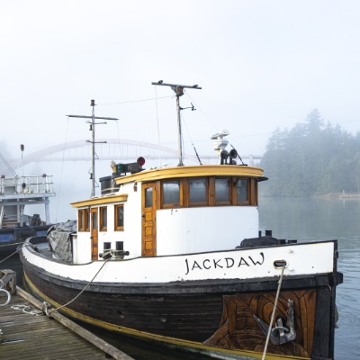 Jackdaw in the Swinomish Channel, La Conner