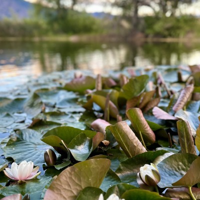Casia Lodge and Ranch