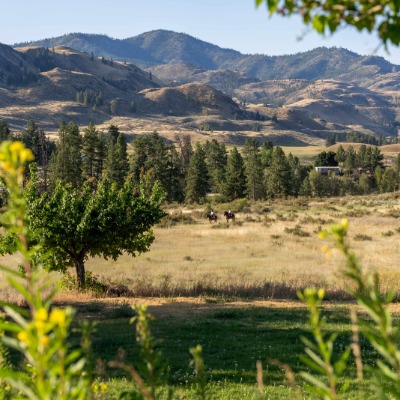 Casia Lodge and Ranch