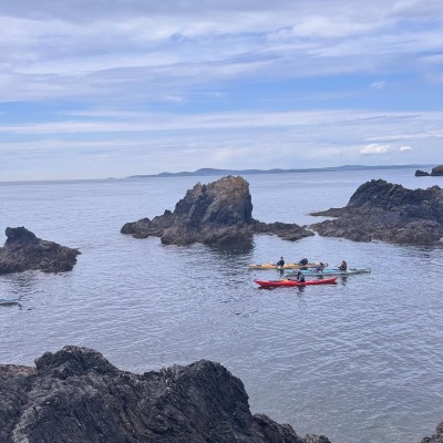 Bowman Bay-Anacortes Kayak Tours