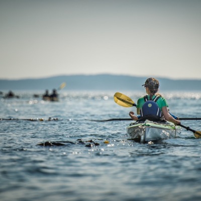 Anacortes Kayak Tours