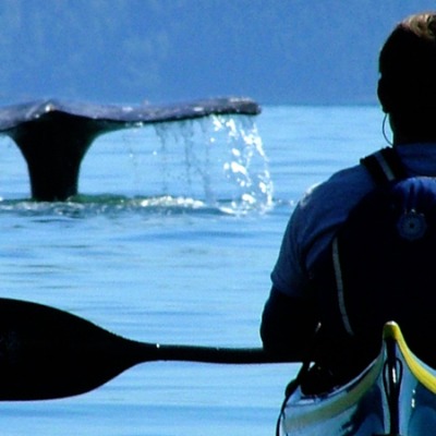 Anacortes Kayak Tours