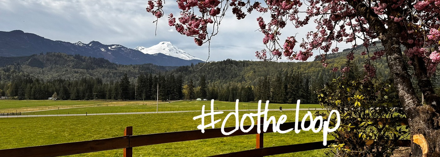 Ovenells Spring 2026