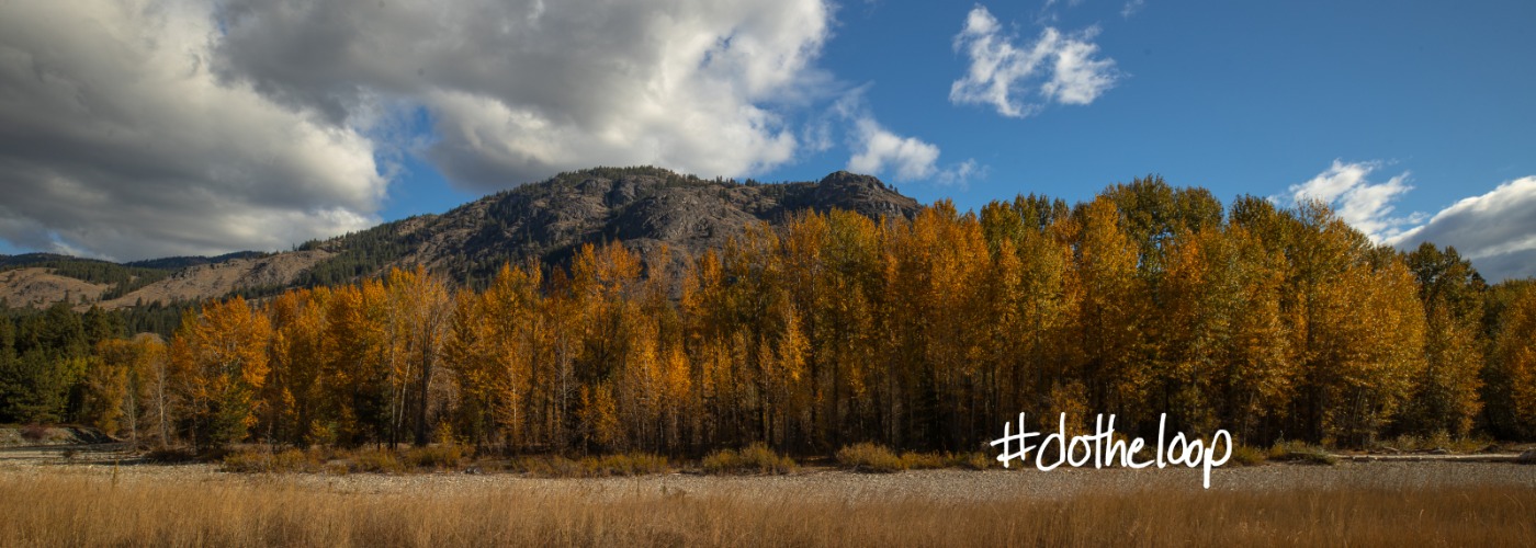 Wolf Creek Road fall colors